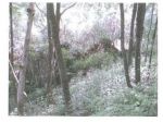 1364/2013 U BS - terreno a Bienno