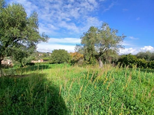 Terreno edificabile in vendita a Morlupo - Foto 11