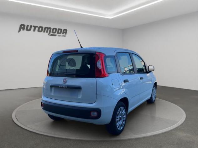 FIAT Panda 1.2 Easy 69CV rif. 23159510 - Foto 4