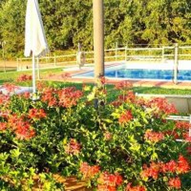Sibolla Holidays - Foto 2