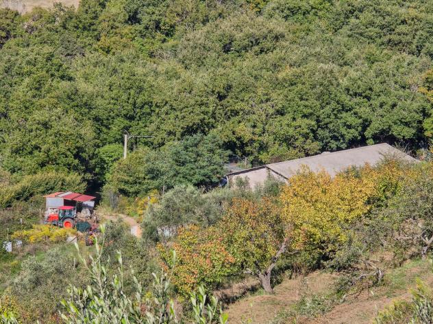 Appartamento in vendita a Roccastrada - Foto 5