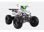ZTECH Quad Cheetah 125 ATV