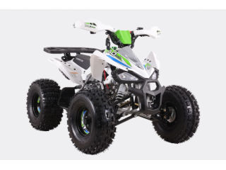 ZTECH Quad Cheetah 125 ATV