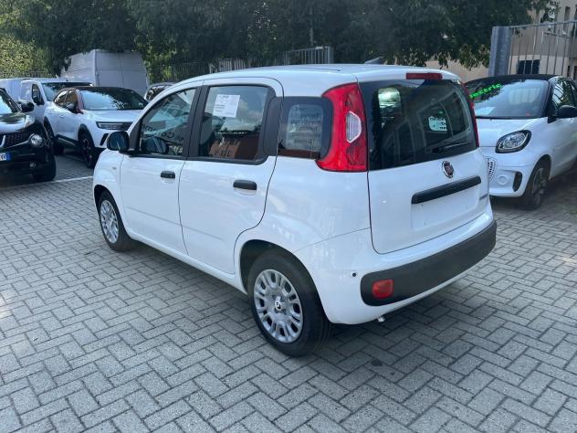 FIAT Panda Panda 1.0 firefly hybrid s&s Icon - Foto 8