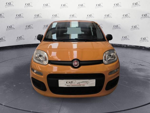 FIAT Panda Panda 1.2 Easy (PREZZO REALE) - Foto 5