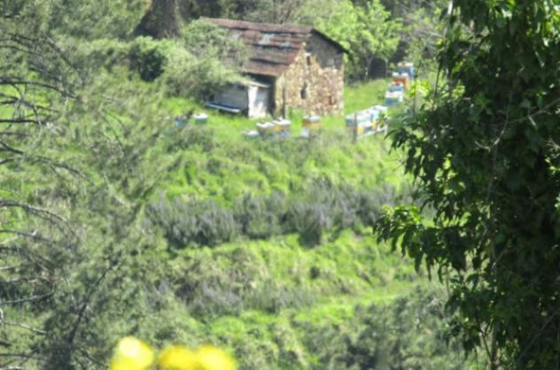 Immobile in asta di 34 m² in vendita a Zignago - Foto 11