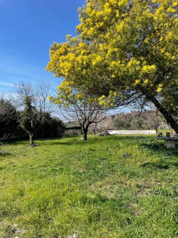 Agricolo in Via della Selva - Foto 5