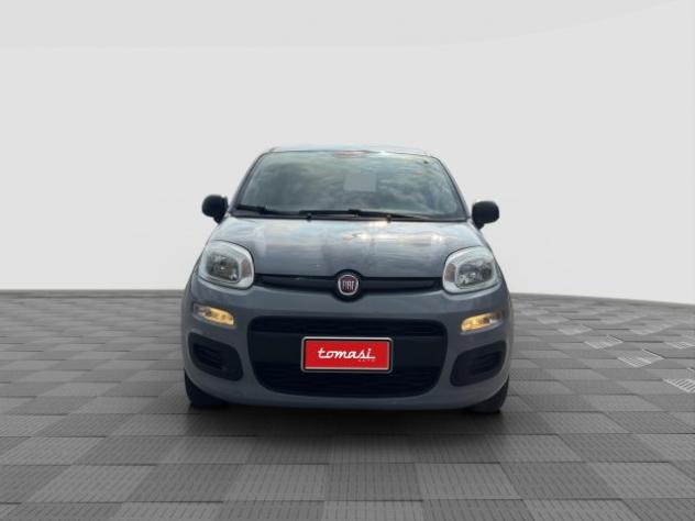 FIAT Panda Panda 1.0 FireFly Hybrid rif. 23952037 - Foto 8