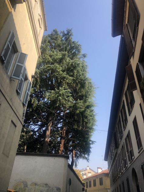 Vendo appartamento in Pavia Centro - Foto 3