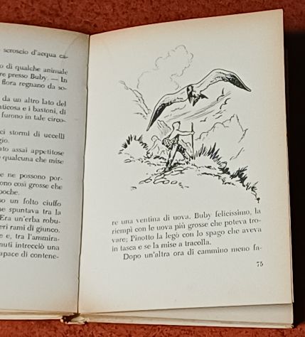 L'Isola senza Nome, Remo Fusilli, 1956. - Foto 6