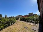 Appartamento in vendita a Salteano - Siena 118 mq  Rif: 1406718
