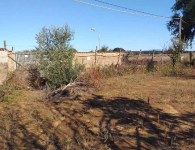 Immobile in asta di 1826 m² in vendita a Nettuno - Foto 3