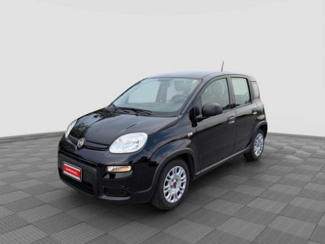 FIAT Panda Panda 1.0 FireFly S&S Hybrid rif. 24078706