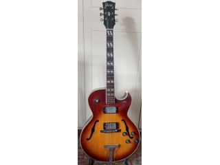 Insegnante di chitarra