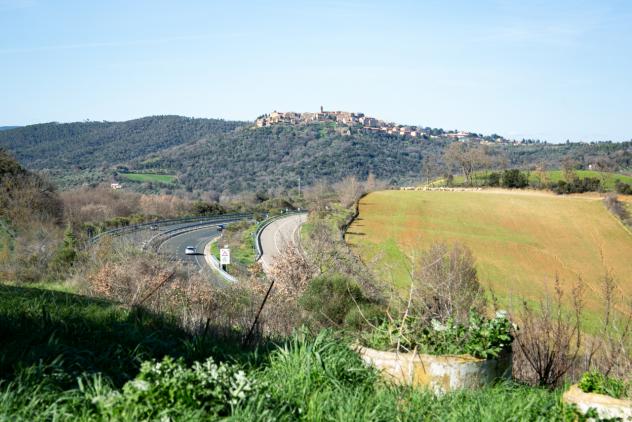 Seminativo in vendita a Civitella Paganico - Foto 4