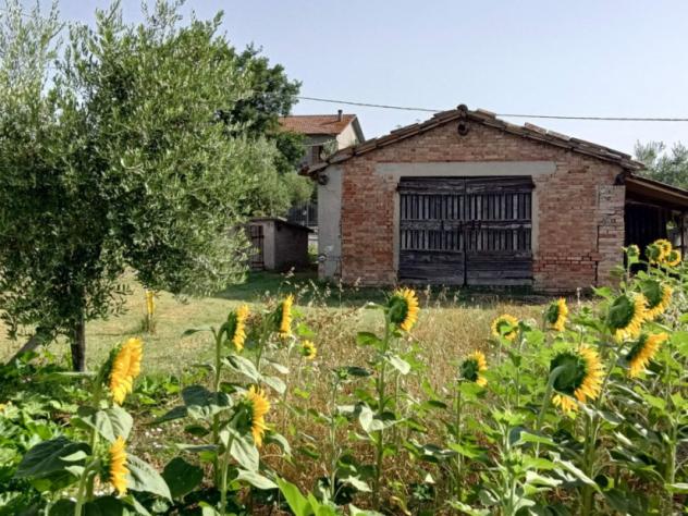 Fano, a pochi passi dal centro abitato di bellocchi, immerso nel verde e comodamente accessibile dalle principali vie di comunicazione, proponiamo in - Foto 8