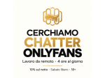 Chatter OnlyFans | Lavoro da Remoto | 4 Ore al Giorno