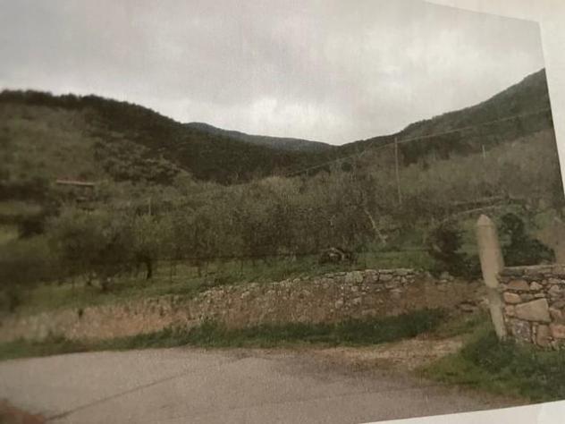 Terreno agricolo in vendita a Castelmaggiore - Calci 1500 mq Rif: 1205664 - Foto 3