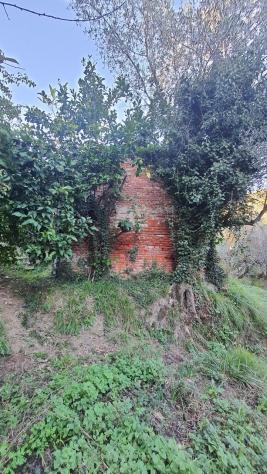 Agricolo in vendita a La Spezia - Foto 11