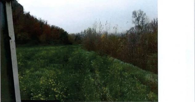 Immobile in asta di 70800 m² in vendita a Orte - Foto 2