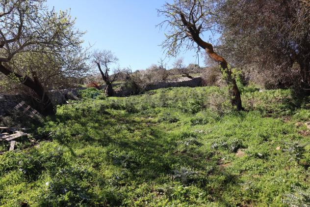 Terreno in vendita a Ragusa, Bruscé - Foto 2