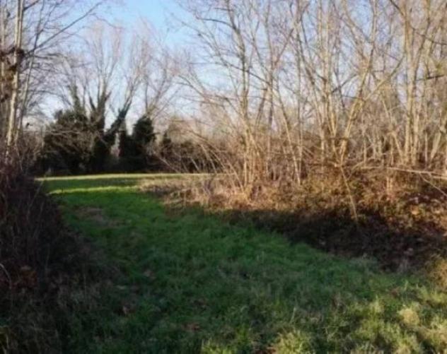 Immobile in asta di 58350 m² in vendita a Sermide e Felonica - Foto 4
