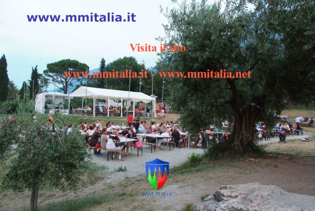 Tendoni Da Giardino Gazebo da Giardino 5 x 10 x 2,6 Mt. a Novara