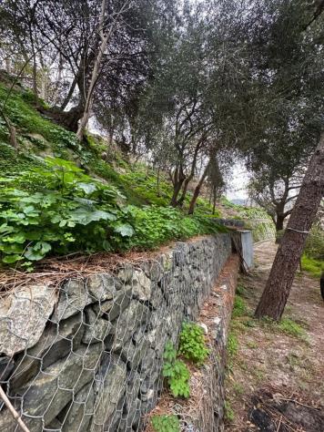 VILLA di 4 vani e di 140 mq (VILLAFRANCA TIRRENA) rif. 2VS17037 - Foto 6