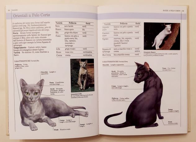 IL TUO GATTO DI DAVID TAYLOR 2°ED.MONDADORI SPA 1987 COME NUOVO - Foto 6