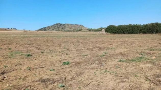 Immobile in asta di 2263 m² in vendita a Serrenti - Foto 2