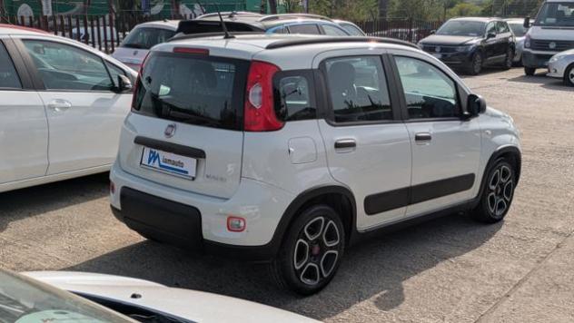 FIAT Panda Hybrid FireFly 1.0cc 70cv rif. 24052118 - Foto 6