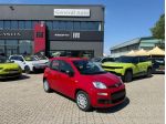 FIAT Pandina 1.0 FireFly 65cv S&S 6m Hybrid Pop
