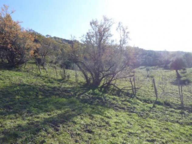 Immobile in asta di 6430 m² in vendita a Casignana - Foto 13