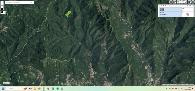 GIFFONI SEI CASALI - LOC. PREPEZZANO - BOSCO CEDUO DI 75000MQ - Foto 5