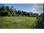 Area verde in vendita a Seravezza
