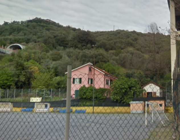 Terreno uliveto Lavadore - Foto 4