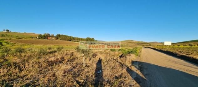 NAPOLA – Terreno di 23.000 mq ca. Euro 68 MILA - Foto 4
