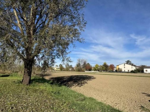Immobile in asta di 17533 m² in vendita a San Possidonio - Foto 3