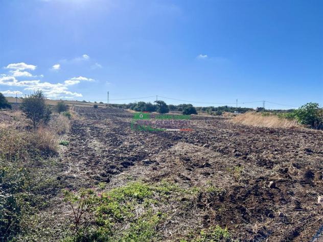Terreno Agricolo a Santa Croce Camerina - Foto 6