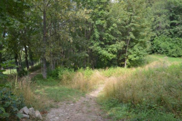 Immobile in asta di 9162 m² in vendita a Sestola