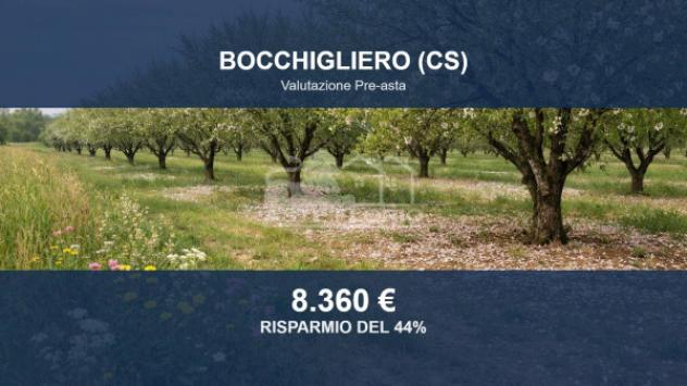 Immobile in asta di 9300 m² in vendita a Bocchigliero