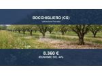 Immobile in asta di 9300 m² in vendita a Bocchigliero