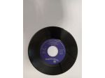 R84 -TOTO CUTUGNO