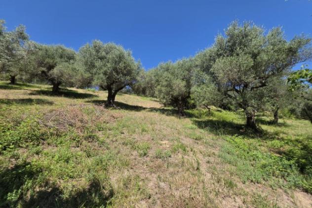 Terreno di 12000 m² in vendita a Guidonia Montecelio - Foto 6