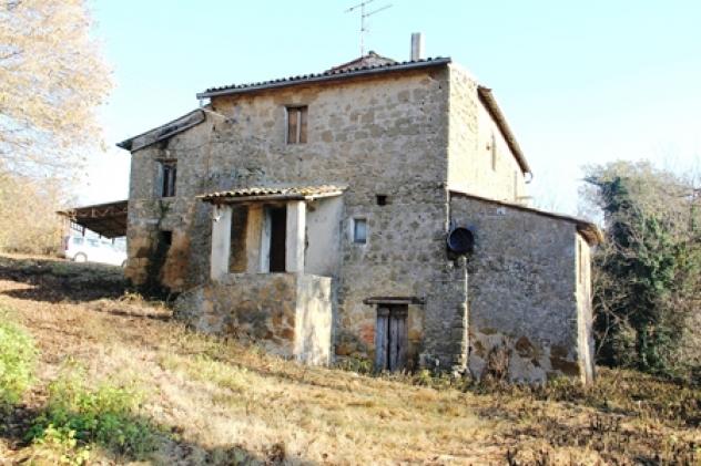 Grotte di castro - Vendesi casale in pietra da ristrutturare e 23 ha di terreno
