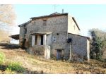 Grotte di castro - Vendesi casale in pietra da ristrutturare e 23 ha di terreno