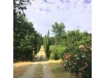 Agriturismo Barone Albergotti