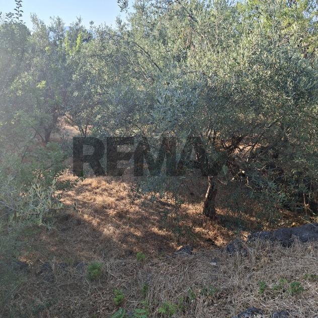 Terreno in vendita a Castiglione di Sicilia - Foto 15