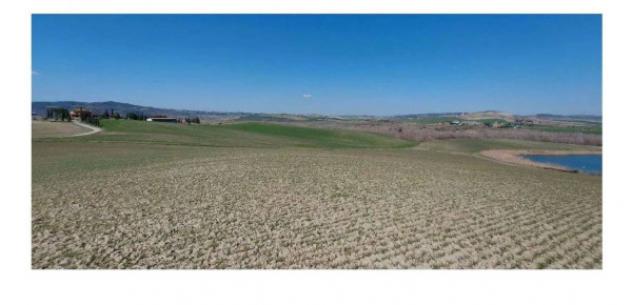 Immobile in asta di 508625 m² in vendita a Castiglione d'Orcia - Foto 4