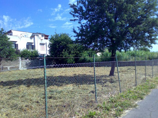 TERRENO AGRICOLO DI PROSSIMA EDIFICAZIONE - Foto 6